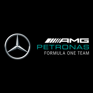 F1 Mercedes baby